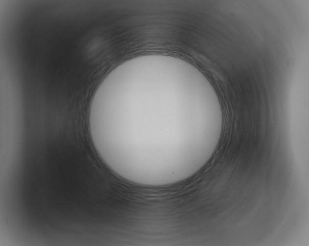 X0000102400560200808010957