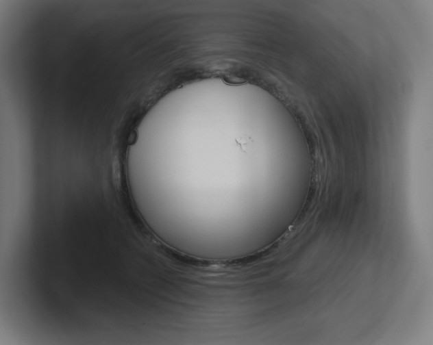 X0000102400562200808010957