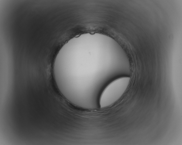 X0000102400563200808010957