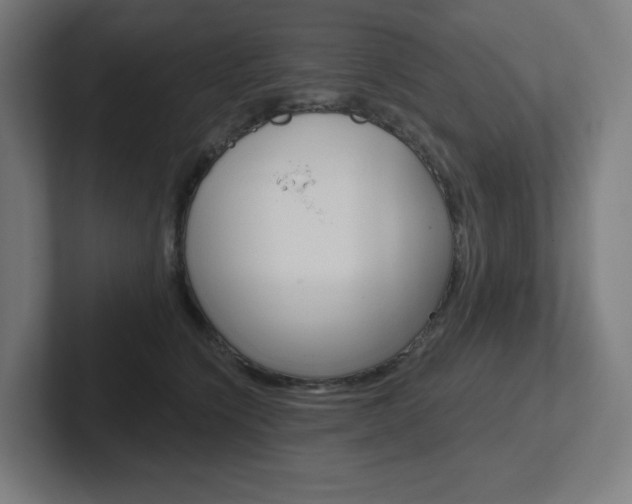 X0000102400564200808010957