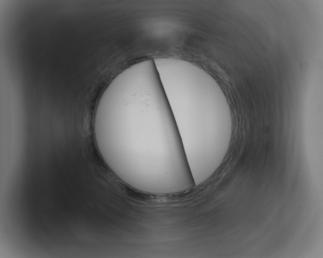 X0000102400565200808010957