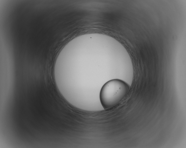X0000102400566200808010957