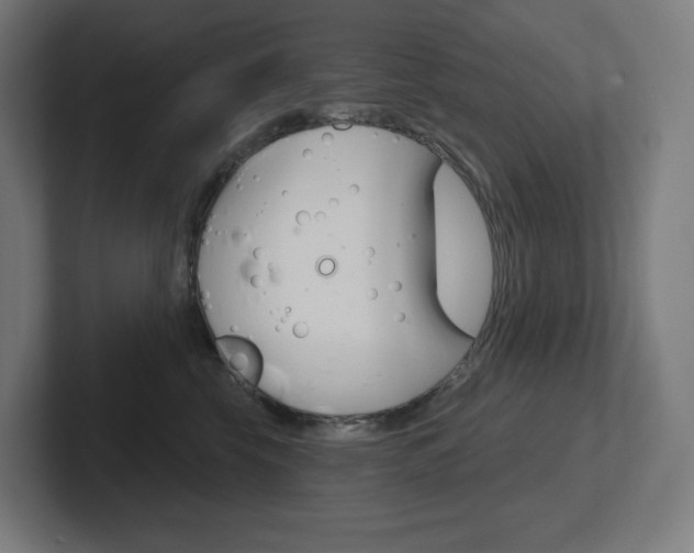 X0000102400569200808010957