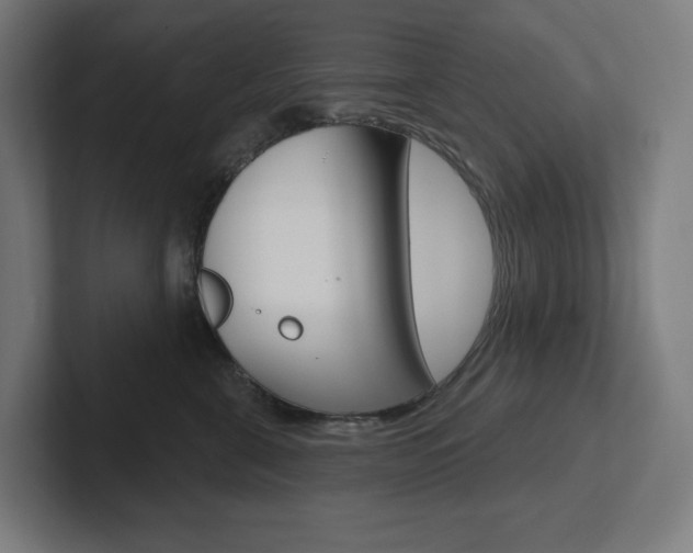 X0000102400571200808010957