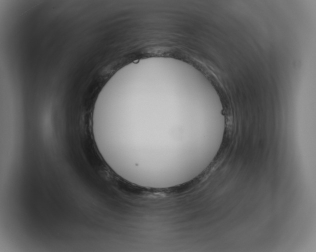X0000102400572200808010957