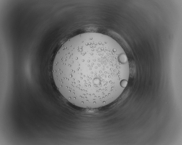 X0000102400573200808010957