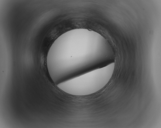 X0000102400574200808010957