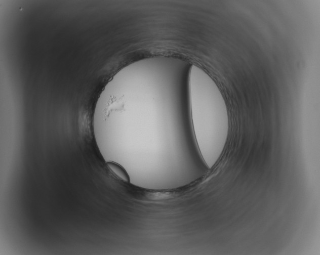 X0000102400575200808010957