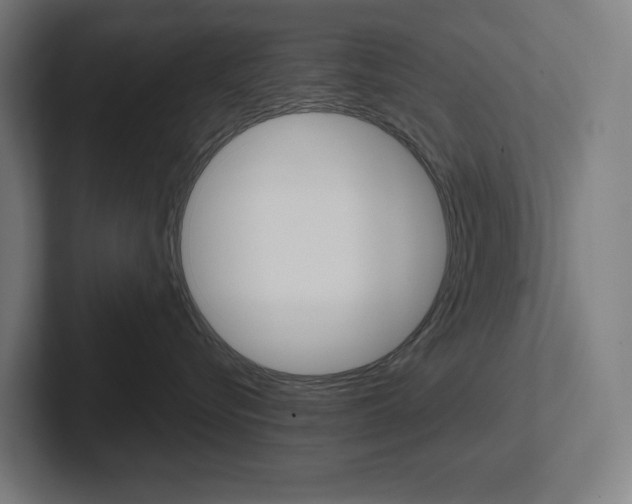 X0000102400576200808010957