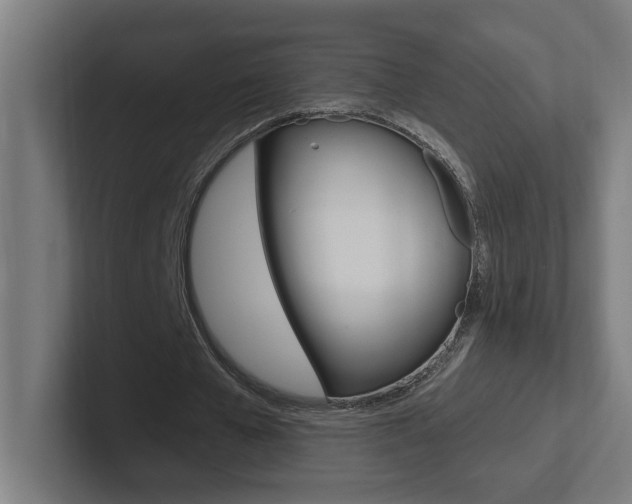 X0000102400577200808010957