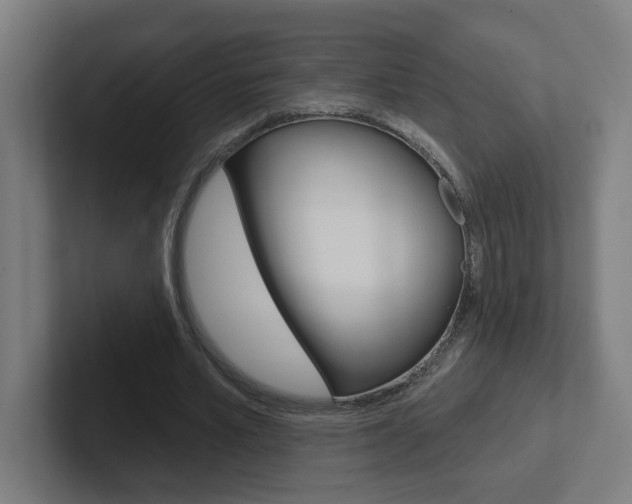 X0000102400581200808010957