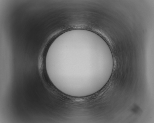 X0000102400583200808010957