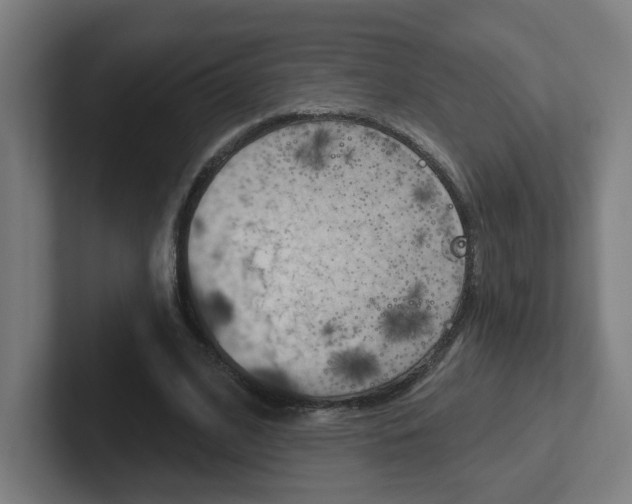 X0000102400584200808010957