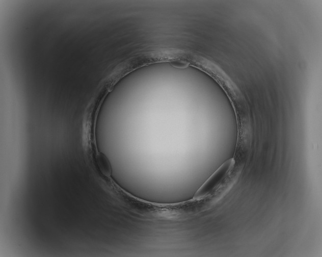 X0000102400585200808010957