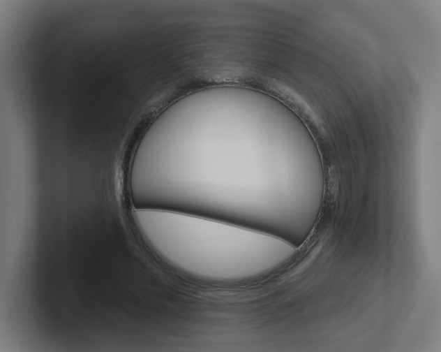 X0000102400589200808010957