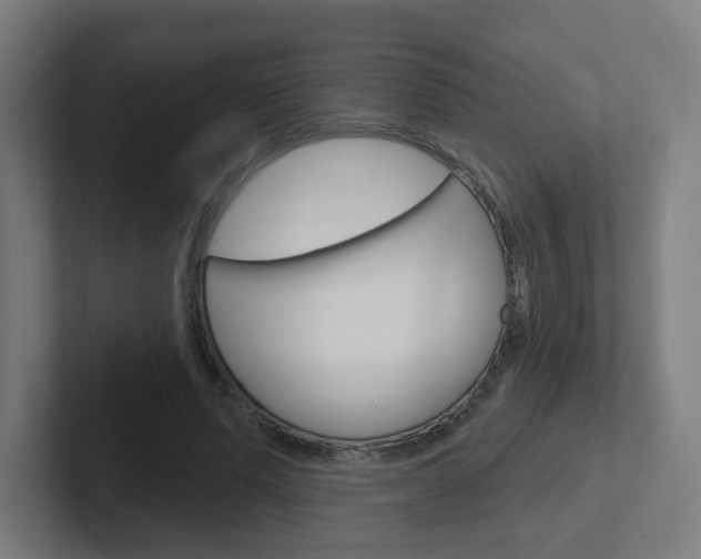 X0000102400591200808010957