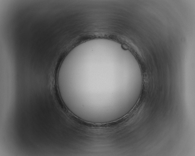 X0000102400593200808010957