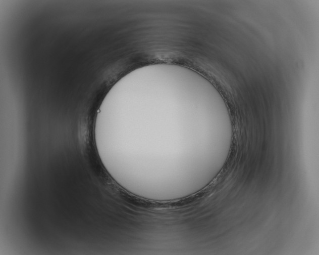 X0000102400595200808010957
