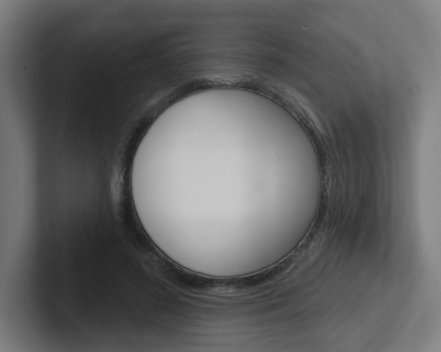 X0000102400596200808010957