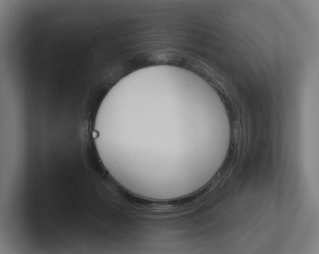 X0000102400605200808010956