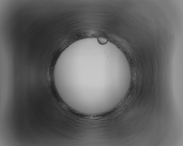 X0000102400607200808010956