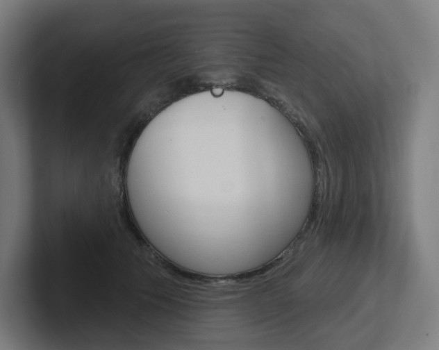 X0000102400609200808010956