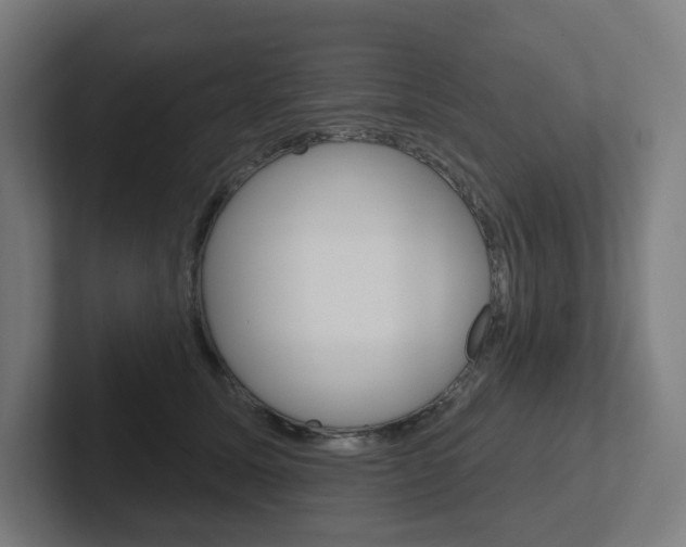 X0000102400611200808010956