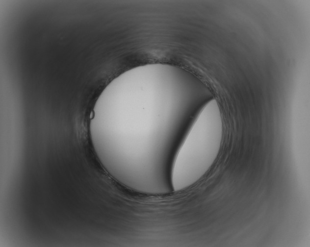 X0000102400613200808010956