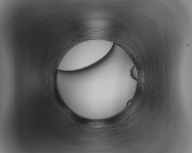 X0000102400615200808010956