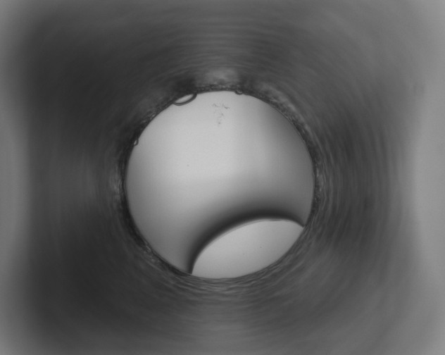 X0000102400617200808010956