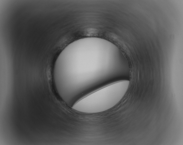 X0000102400620200808010956