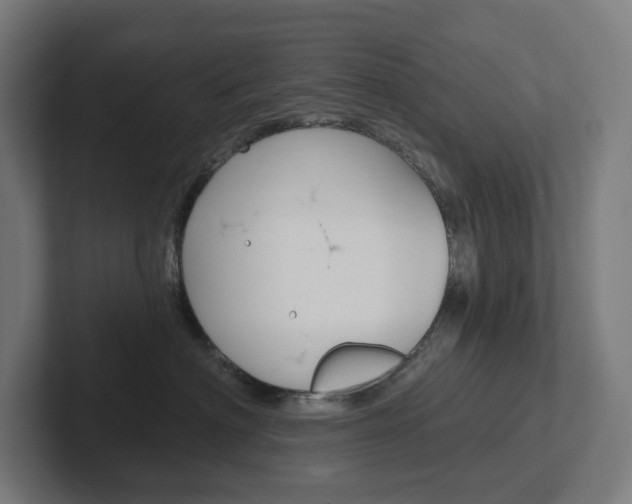 X0000102400622200808010956