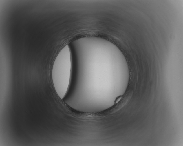X0000102400624200808010956