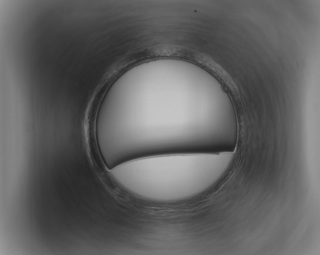 X0000102400626200808010956