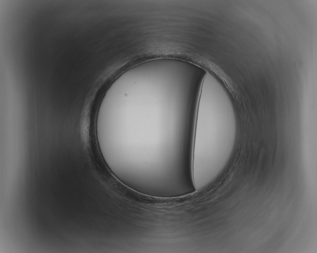 X0000102400627200808010956
