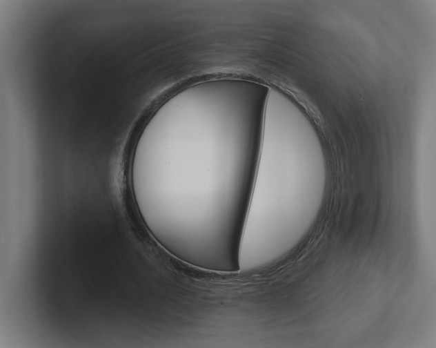 X0000102400628200808010956