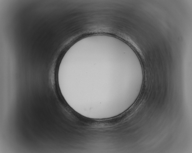 X0000102400629200808010956