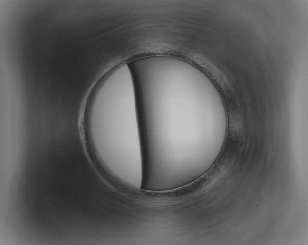 X0000102400630200808010956
