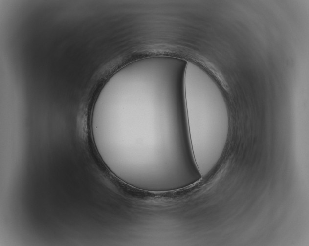 X0000102400633200808010956