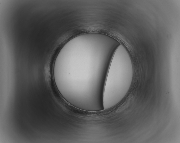 X0000102400634200808010956