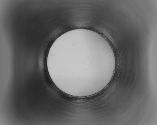 X0000102400635200808010956