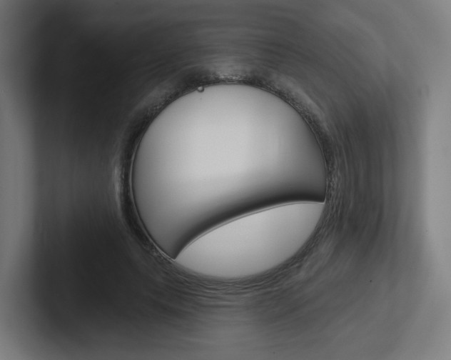X0000102400639200808010956