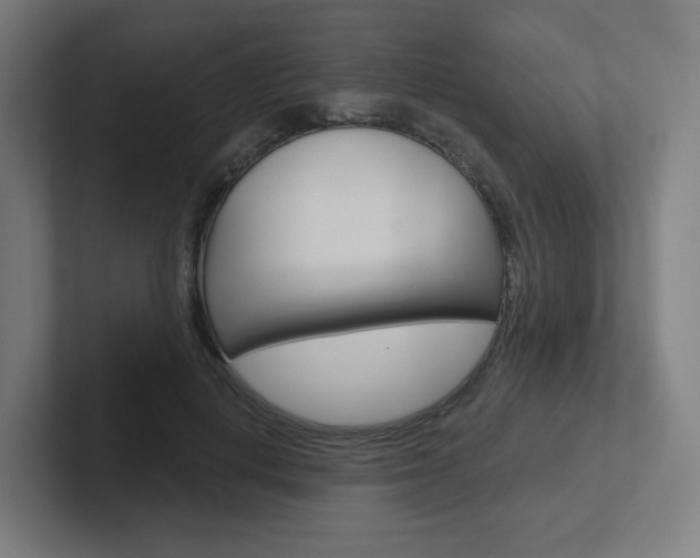 X0000102400648200808010956