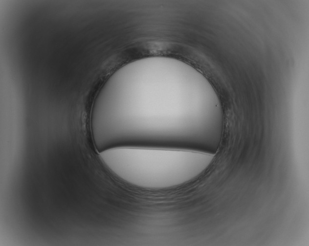 X0000102400650200808010956
