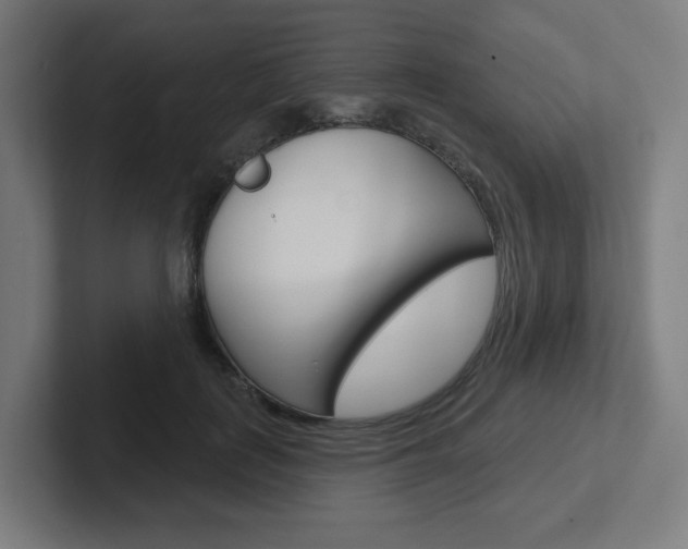 X0000102400651200808010956