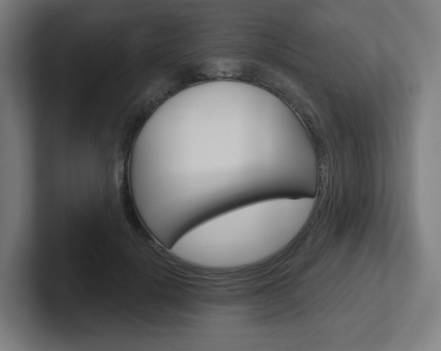 X0000102400652200808010956
