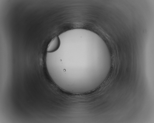 X0000102400655200808010956