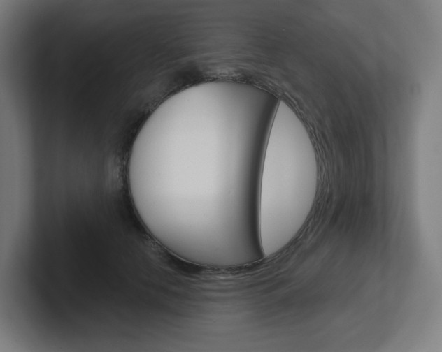 X0000102400658200808010956