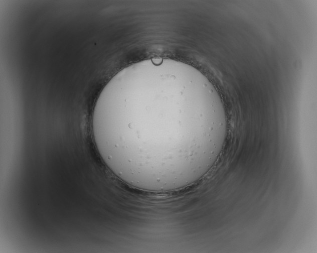 X0000102400659200808010956