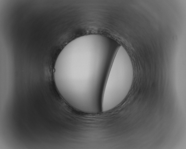 X0000102400661200808010956